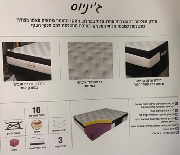 ג'יניוס מפרט
