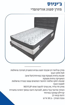 ג'יניוס