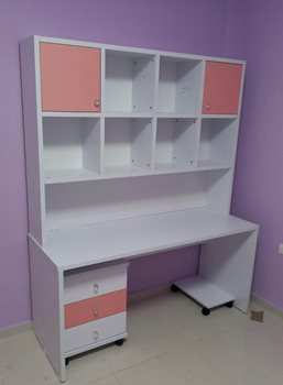 ספריה | דגם הדס