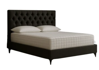 מיטה מרופדת | דגם קיט